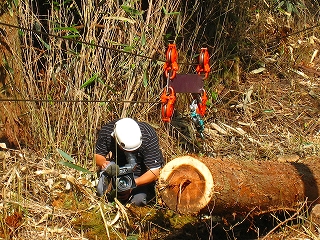 e0002820_2274795.jpg