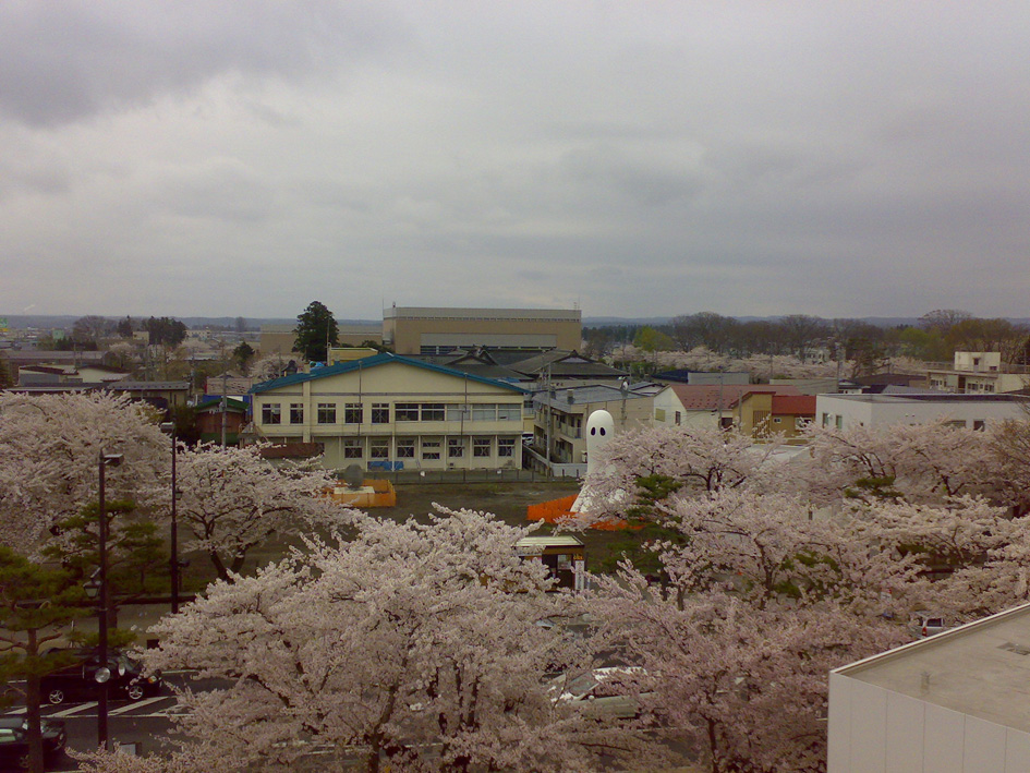 b0074921_1103875.jpg