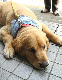 f0197821_11525793.jpg