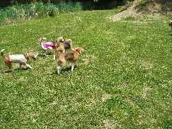 c0166622_13253776.jpg