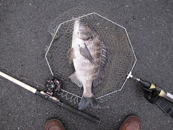 f0031423_20514753.jpg