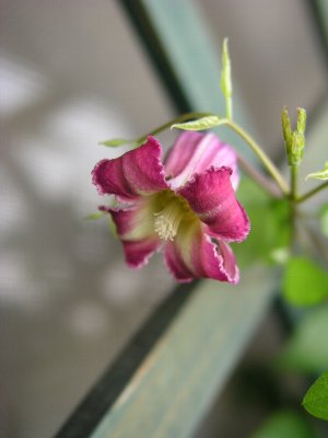 b0031925_21514380.jpg