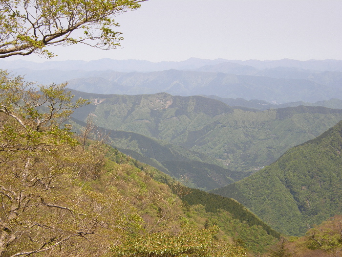 f0103126_21353362.jpg