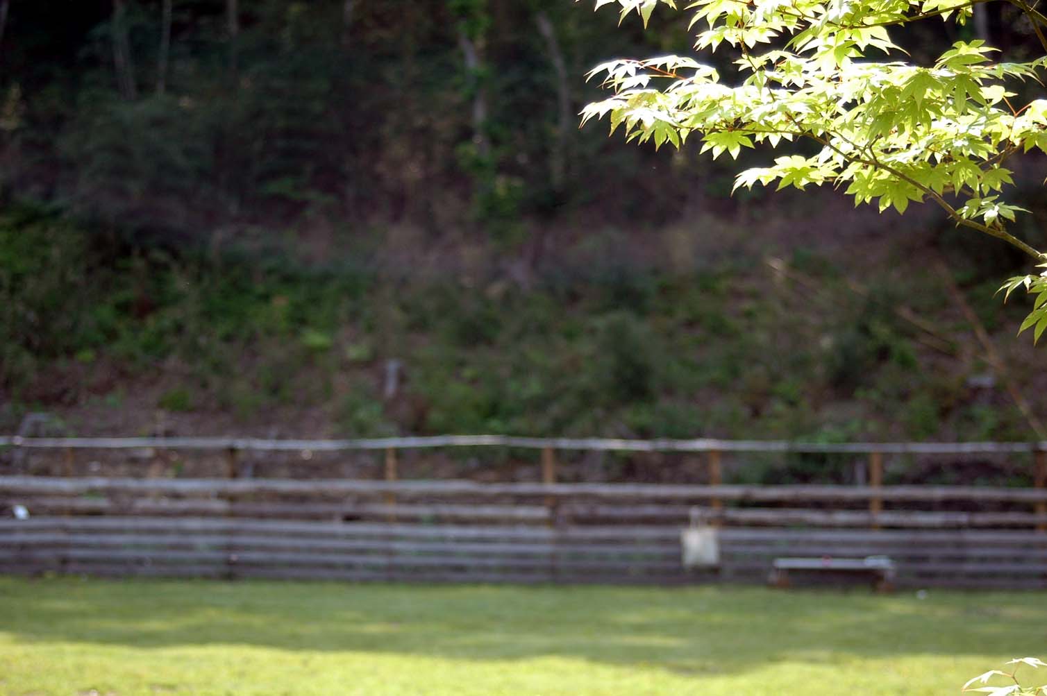 c0192930_13594032.jpg
