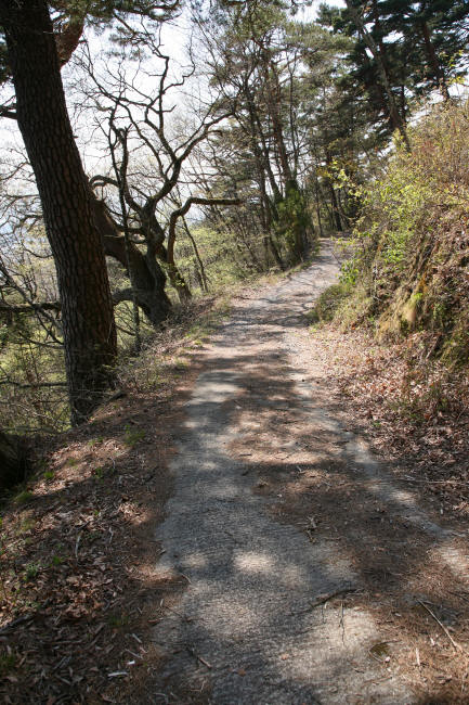 f0017530_21155811.jpg