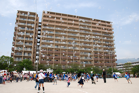f0080530_2172942.jpg