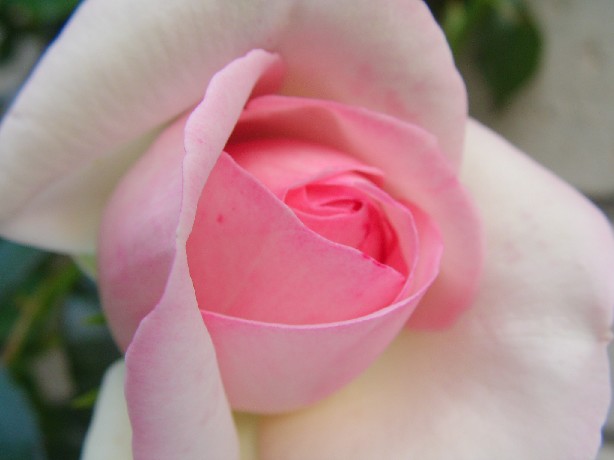 f0002833_20292170.jpg