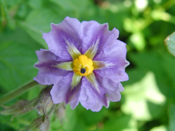 f0002833_20363273.jpg