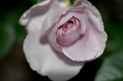a0017634_6583756.jpg