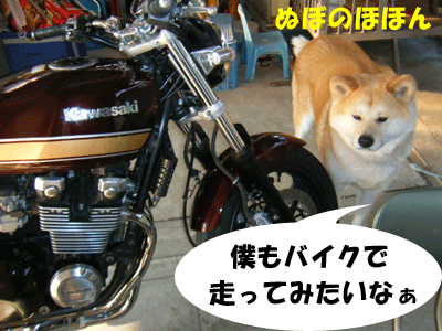 f0008935_13381212.gif