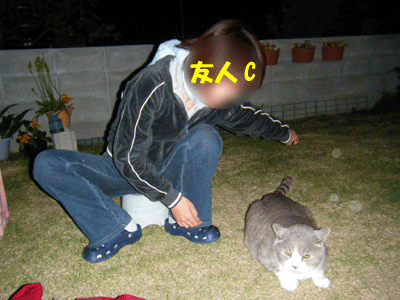 f0008935_1341252.gif