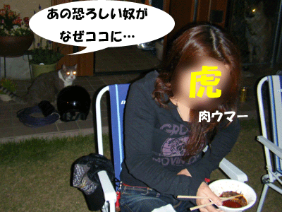 f0008935_134326100.gif