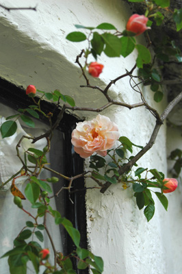 f0029536_22534430.jpg