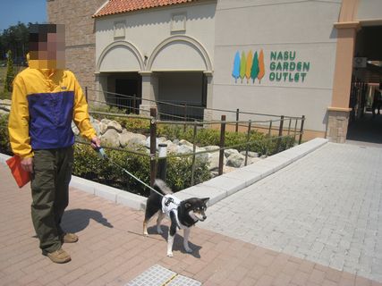 f0058241_2139426.jpg