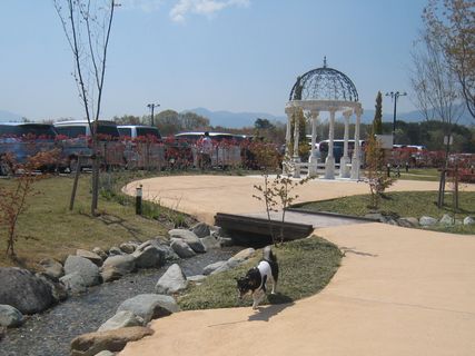 f0058241_21404725.jpg