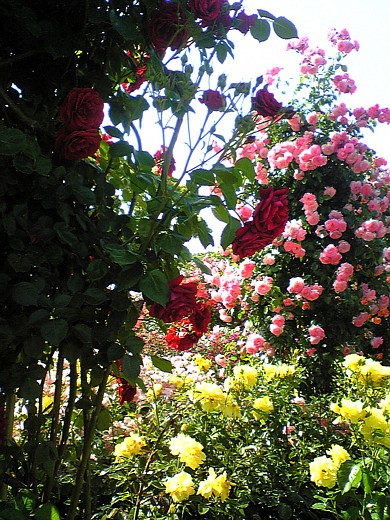 b0016043_1941531.jpg