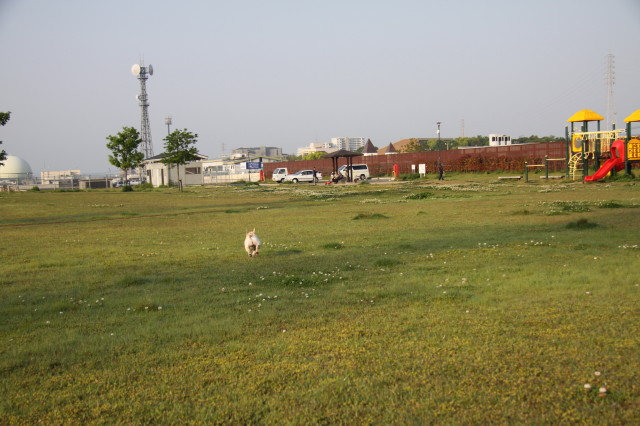 e0169243_537780.jpg