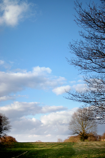 d0008146_2141536.jpg