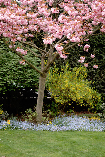 d0008146_21515744.jpg