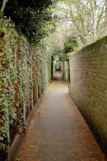 d0008146_22193888.jpg