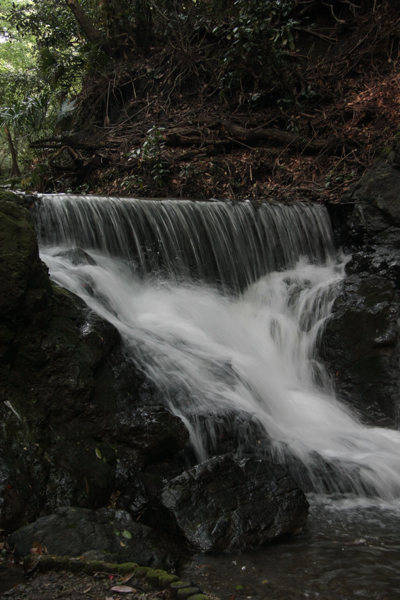 f0156448_21521822.jpg