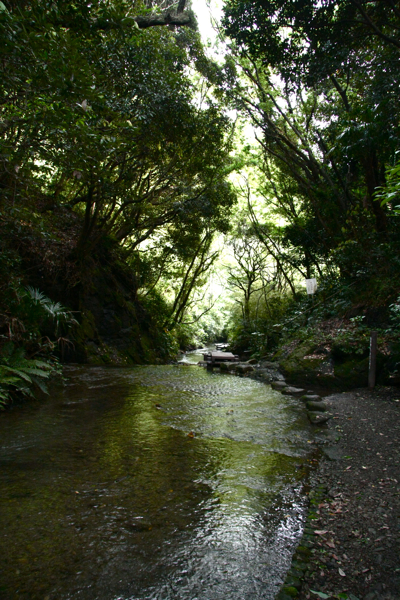 f0156448_21523274.jpg