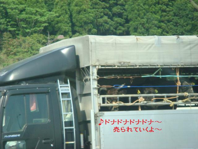 e0169149_20574699.jpg