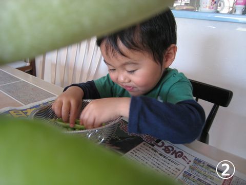 a0090451_23391992.jpg