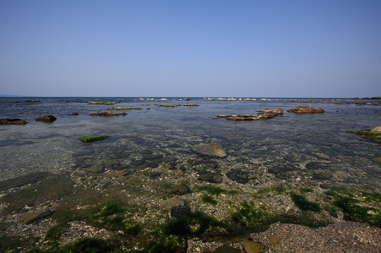 c0198351_2355795.jpg