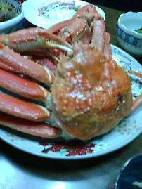 c0081552_14173039.jpg