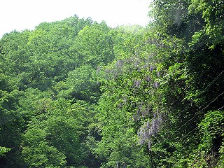 d0031853_3573761.jpg