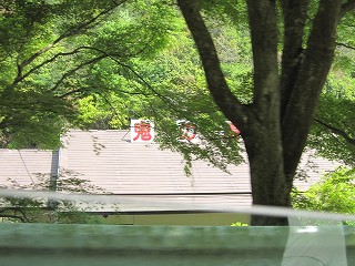 d0031853_452881.jpg