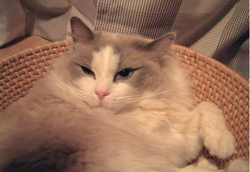a0067056_065035.jpg