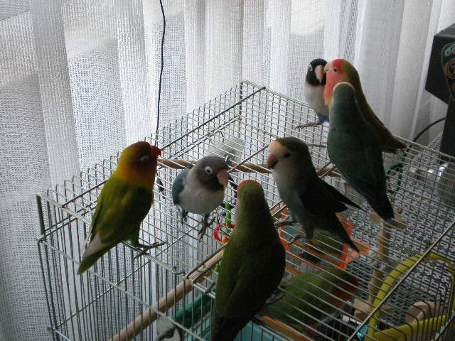 d0142061_1015577.jpg