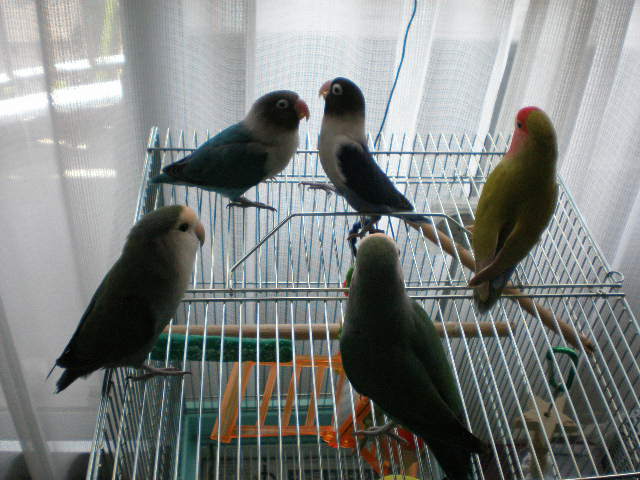 d0142061_9543432.jpg
