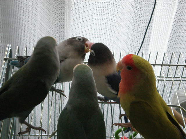 d0142061_9572147.jpg