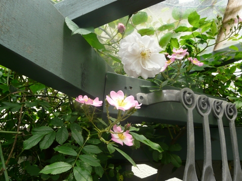 f0195963_19312721.jpg