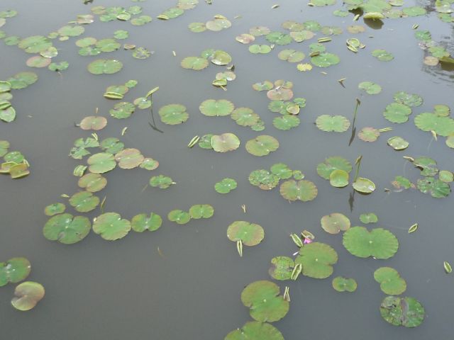 b0141664_23244970.jpg