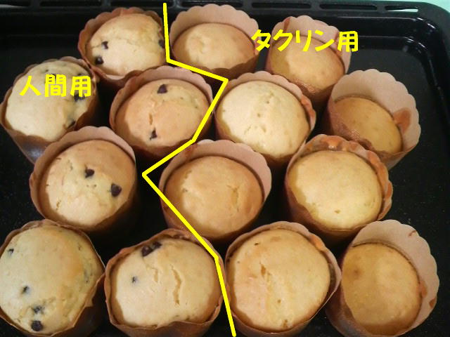f0057565_17493539.jpg
