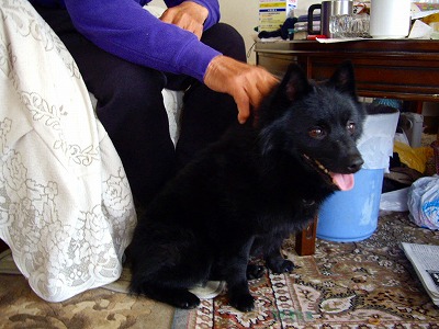 e0002466_14474178.jpg