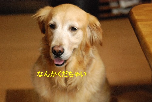 e0020166_2011573.jpg