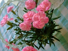 a0026567_9474821.jpg