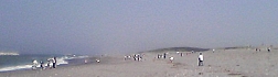 a0096669_202419.jpg