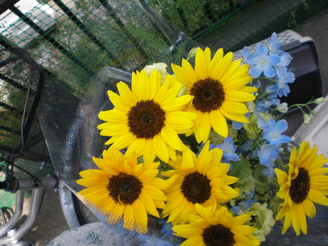 c0138069_1482941.jpg