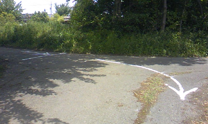 f0107072_23194218.jpg
