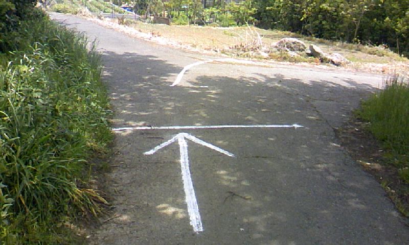 f0107072_2320736.jpg