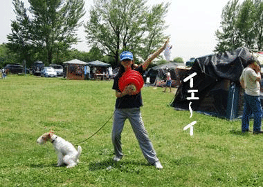 b0091373_122448.gif