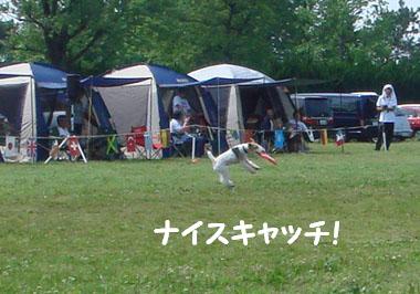 b0091373_1323677.jpg