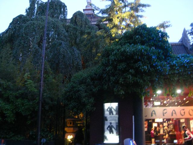 d0008073_542563.jpg