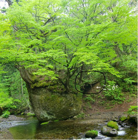 f0059473_21411975.jpg